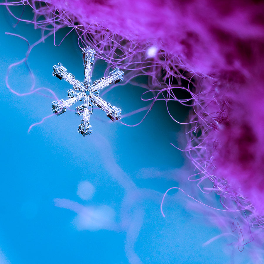 Monthly Subscription Snowflake Notes Series